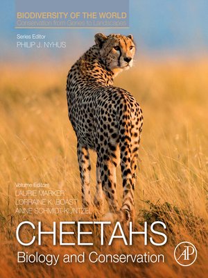 cover image of Cheetahs